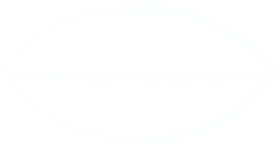 Sound Artist