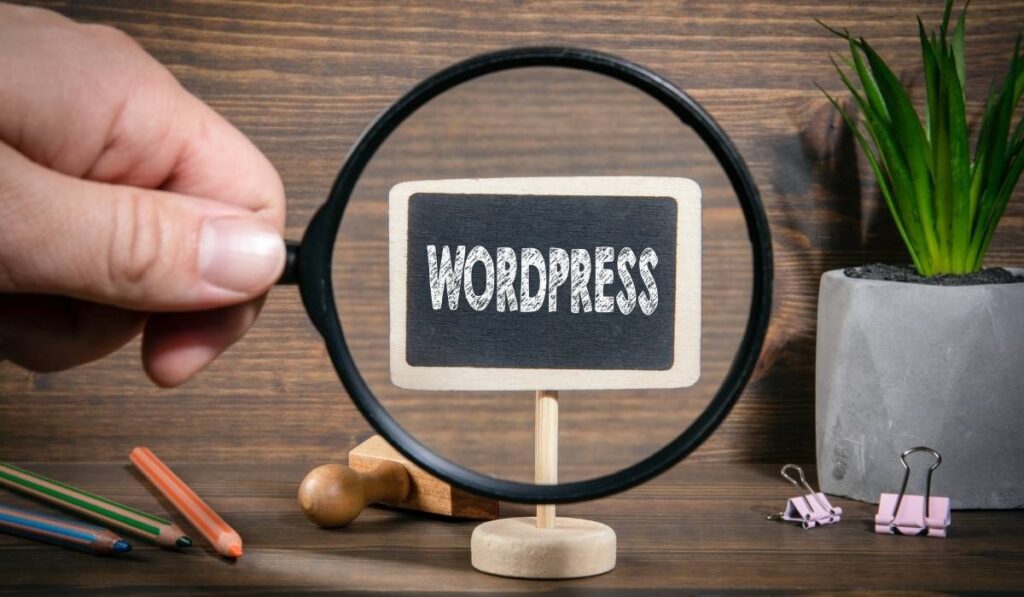 Where WordPress Wins for SEO